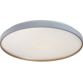Rabalux - LED stmievateľné stropné svietidlo LED/60W/230V 3000-6500K priem. 58 cm + diaľkové ovládanie