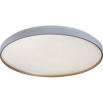 Rabalux - LED stmievateľné stropné svietidlo LED/60W/230V 3000-6500K priem. 58 cm + diaľkové ovládanie