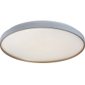 Rabalux - LED stmievateľné stropné svietidlo LED/80W/230V 3000-6500K pr. 77 cm + diaľkové ovládanie