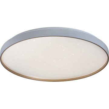 Rabalux - LED stmievateľné stropné svietidlo LED/80W/230V 3000-6500K pr. 77 cm + diaľkové ovládanie