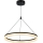 Rabalux - LED stmievateľný luster na lane LED/24W/230V 3000-6500K + diaľkové ovládanie