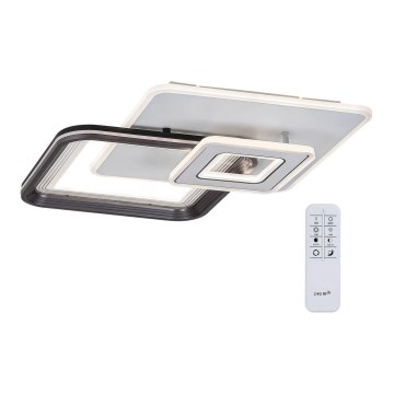 Rabalux - LED Stmievateľný prisadený luster LED/48W/230V 3000K/4000K/6000K + diaľkové ovládanie 49,5x49,5 cm
