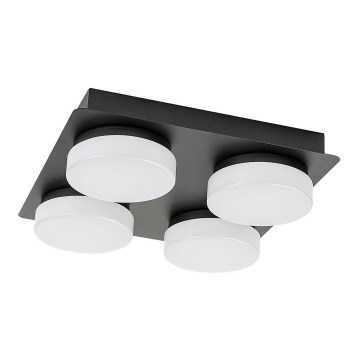 Rabalux - LED Stropné kúpeľňové svietidlo 4xLED/5,2W/230V IP44 čierna