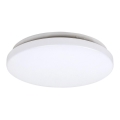 Rabalux - LED Stropné svietidlo 1xLED/20W/230V pr. 29 cm