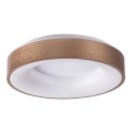 Rabalux - LED Stropné svietidlo CARMELA LED/30W/230V pr. 38 cm