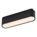 Rabalux - LED Stropné svietidlo do 1-fázového lištového systému LED/6W/230V 3000K 11,5 cm čierna