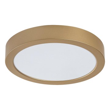 Rabalux - LED stropné svietidlo do kúpeľne LED/24W/230V, Ø 22 cm, IP44, zlaté