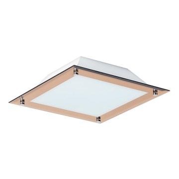 Rabalux - LED stropné svietidlo LARS 1xLED/12W/230V 30x30 cm