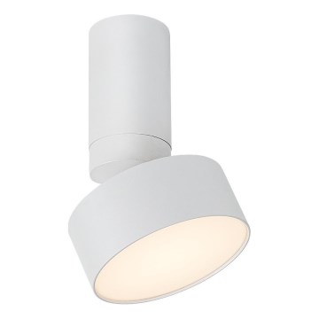 Rabalux - LED Stropné svietidlo LED/10W/230V 3000K biela