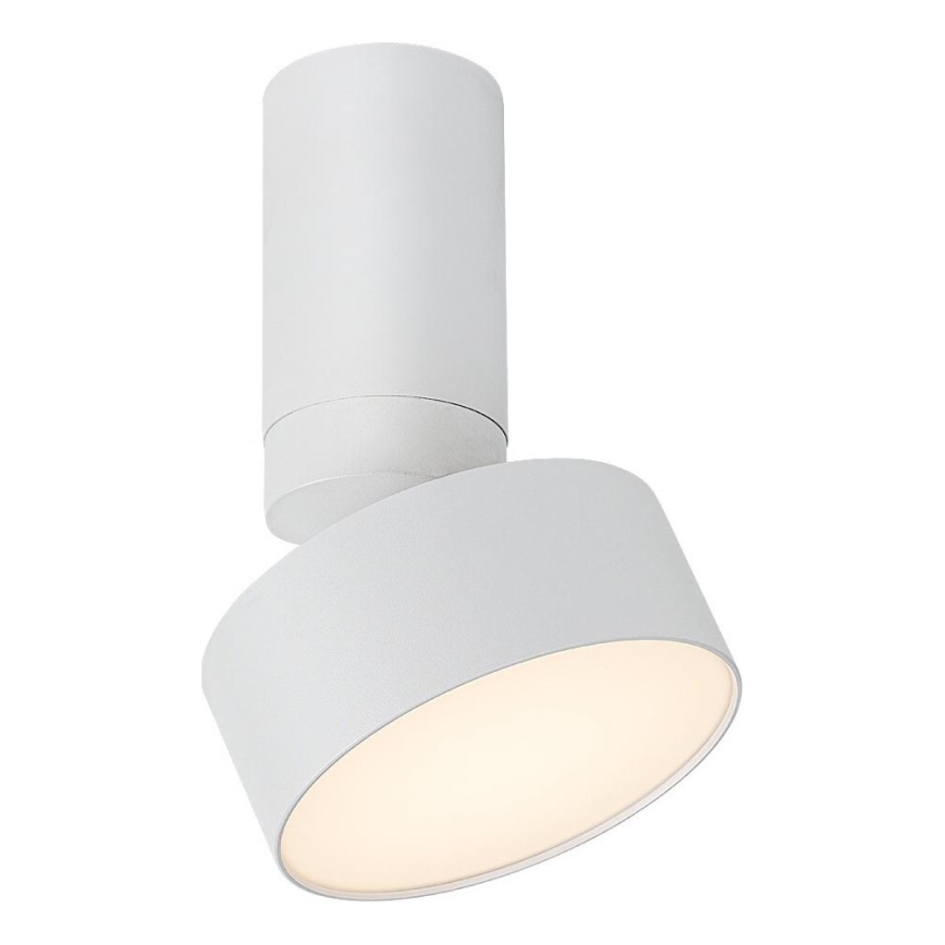 Rabalux - LED Stropné svietidlo LED/10W/230V 3000K biela