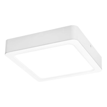 Rabalux - LED Stropné svietidlo LED/15W/230V 4000K 16x16 cm biela