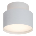 Rabalux - LED stropné svietidlo LED/16W/230V 3000K biele pr. 11 cm