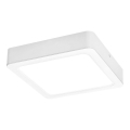 Rabalux - LED Stropné svietidlo LED/18W/230V 17x17 cm