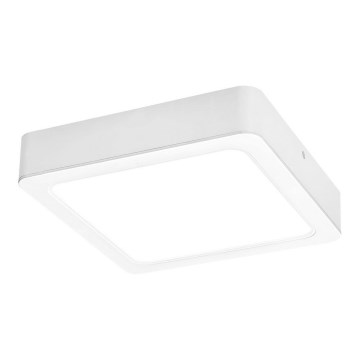 Rabalux - LED Stropné svietidlo LED/18W/230V 17x17 cm