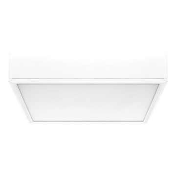 Rabalux - LED Stropné svietidlo LED/22W/230V 3000/4000/6000K 21x21 cm biela