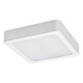 Rabalux - LED Stropné svietidlo LED/24W/230V 3000K 22x22 cm biela