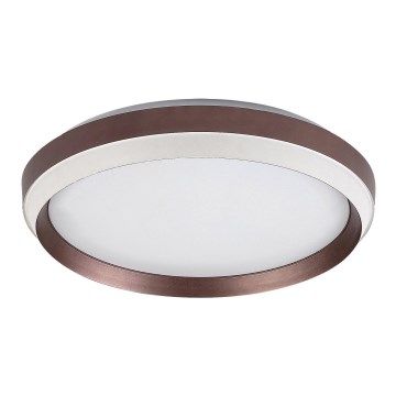 Rabalux - LED Stropné svietidlo LED/24W/230V 3000K pr. 39 cm