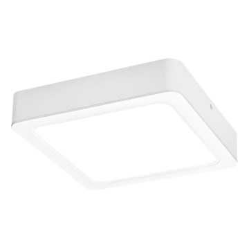 Rabalux - LED Stropné svietidlo LED/24W/230V 4000K 22x22 cm biela