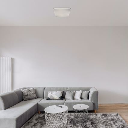 Rabalux - LED Stropné svietidlo LED/24W/230V