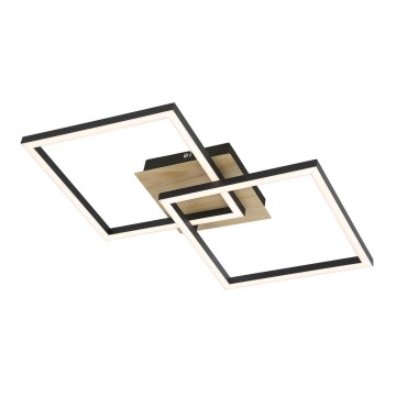 Rabalux - LED Stropné svietidlo LED/24W/230V