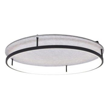 Rabalux - LED Stropné svietidlo LED/40W/230V 3000/4000K pr. 57,5 cm
