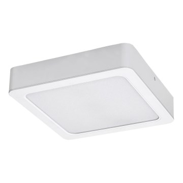 Rabalux - LED Stropné svietidlo LED/7W/230V 3000K 12x12 cm biela