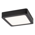 Rabalux - LED Stropné svietidlo LED/7W/230V 4000K 12x12 cm čierna