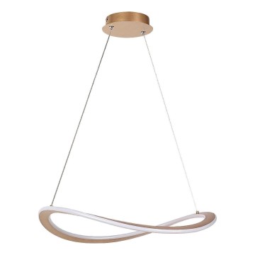 Rabalux - LED viseči lestenec na kablu LED/40W/230V 3000K