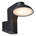 Rabalux - LED Vonkajšie nástenné svietidlo LED/12W/230V IP54