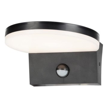 Rabalux - LED Vonkajšie nástenné svietidlo so senzorom LED/9W/230V 2700/4000/6500K IP54 čierna