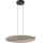 Rabalux - LED závesné svietidlo na lanku LED/24W/230V 3000K