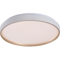 Rabalux - stlmiteľné LED stropné svietidlo LED/34W/230V 3000-6500K pr. 38 cm + diaľkové ovládanie
