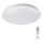 Rabalux - stmievateľné LED stropné svietidlo s diaľkovým ovládaním, RGB, 32 W, 230 V, priemer 40 cm