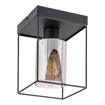 Rabalux - Stropné svietidlo 1xE27/25W/230V 15x15 cm