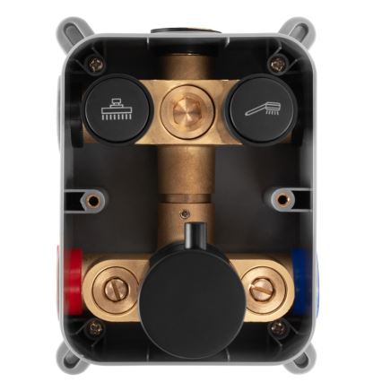 REA-P8551 - Tuš set s termostatsko podometno baterijo LUNGO, brušeno zlato