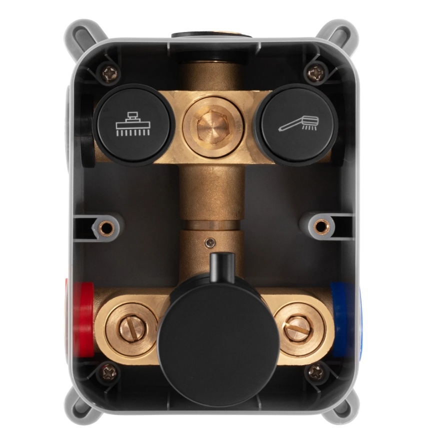 REA-P8551 - Tuš set s termostatsko podometno baterijo LUNGO, brušeno zlato