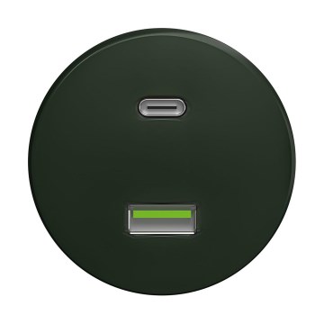 Reblig - Retro USB zásuvka A+C bez rámčeka zelená