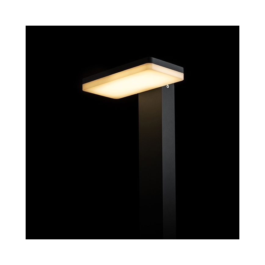 RED - Design Rendl - R12515 - LED Vonkajšia lampa RINA LED/12W/230V IP44