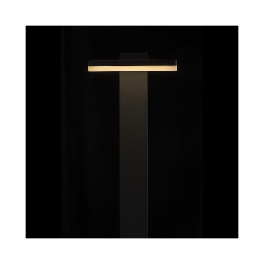 RED - Design Rendl - R12515 - LED Vonkajšia lampa RINA LED/12W/230V IP44