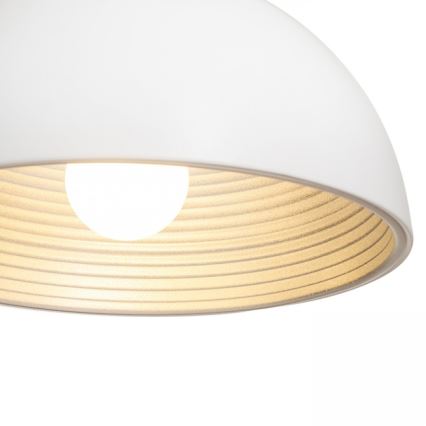 RED - Design Rendl - R13048 - Luster na lanku CARISSIMA 1xE27/42W/230V