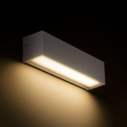 RED - Design Rendl - R13527 - LED Vonkajšie nástenné svietidlo CAMARGUE LED/6W/230V IP65