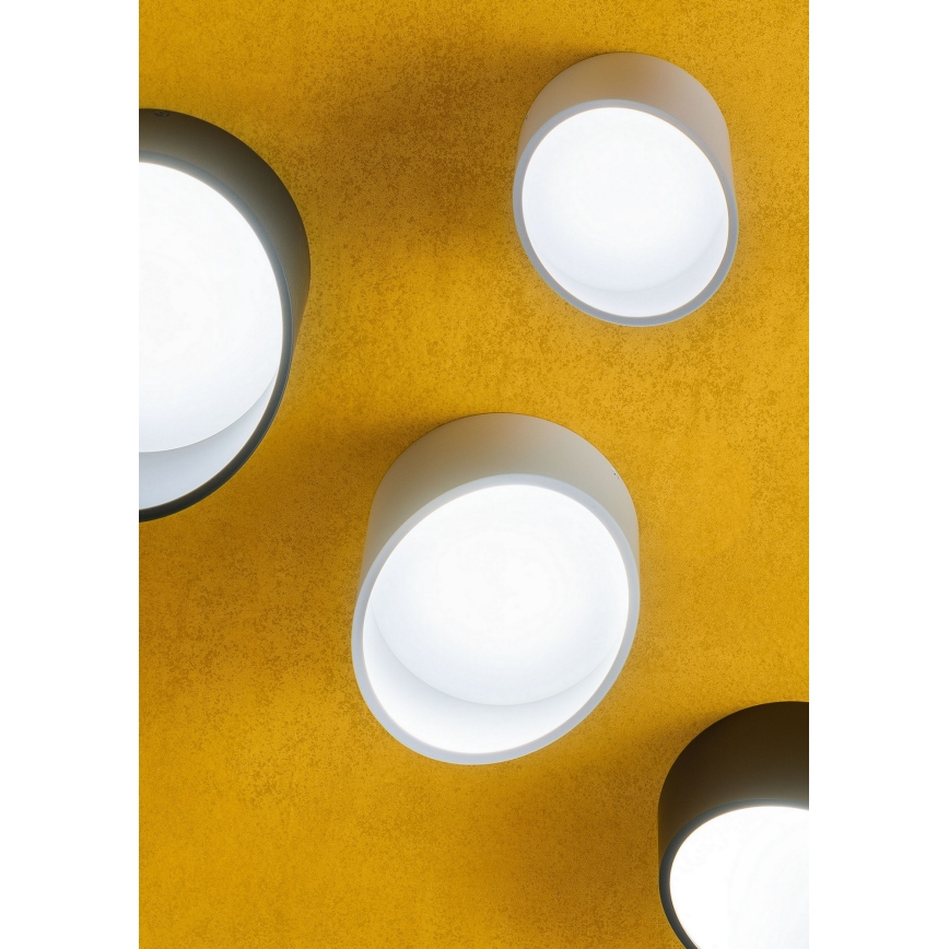 Redo 01-1625 - LED Bodové svietidlo UTO LED/6W/230V pr. 9 cm biela