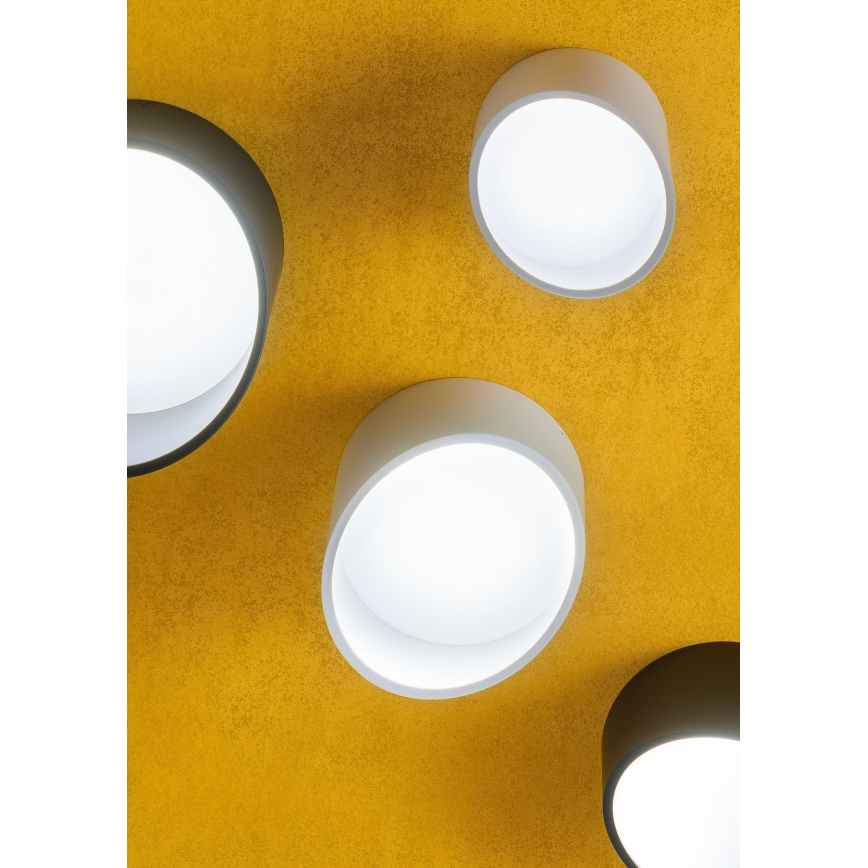 Redo 01-1627 - LED bodové svietidlo UTO LED/12W/230V pr. 12 cm biela