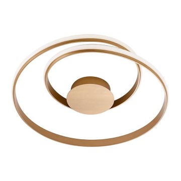 Zlaté stropné svietidlo s dvoma prekrývajúcimi sa kruhmi, ktoré obsahujú vnútorné LED osvetlenie. Svietidlo je zavesené na strope.