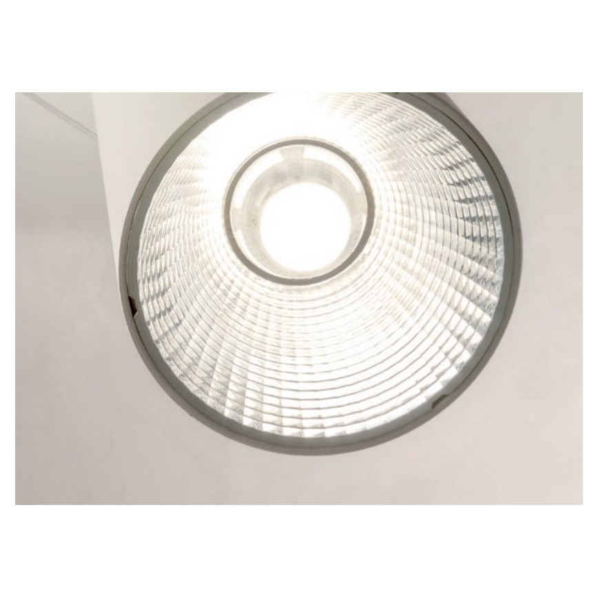 Redo 01-1971 - LED Stmievateľný luster na lanku ESSENCE LED/36W/230V CRI 90 3000K biela