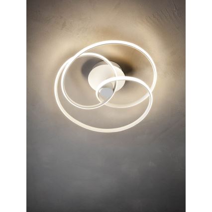Redo 01-2189 - LED Stmievateľné stropné svietidlo SINTRA LED/40W/230V