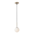 Redo 01-2623 - Luster na lanku NIVA 1xE14/28W/230V