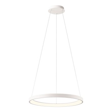 Redo 01-2672 - LED stmievateľný luster na lanku ICONIC LED/50W/230V pr. 58 cm biela