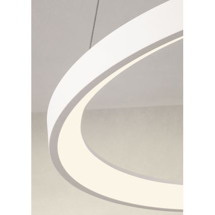 Redo 01-2672 - LED stmievateľný luster na lanku ICONIC LED/50W/230V pr. 58 cm biela