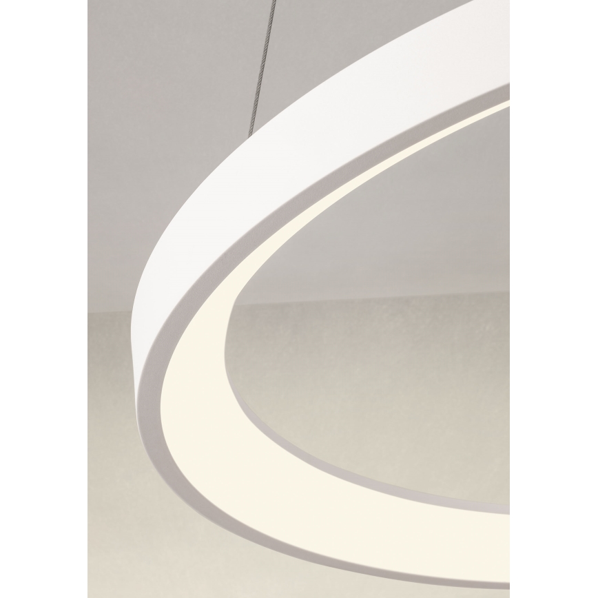 Redo 01-2672 - LED stmievateľný luster na lanku ICONIC LED/50W/230V pr. 58 cm biela